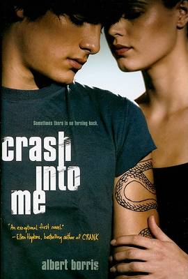 Cover of Crash into Me