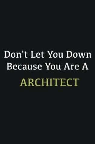 Cover of Don't let you down because you are a Architect