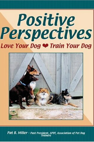 Cover of Positive Perspectives