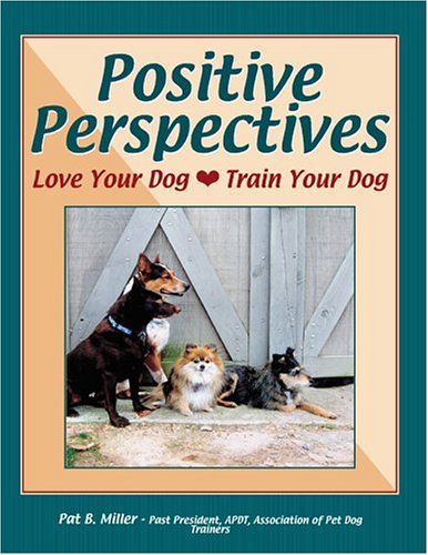 Book cover for Positive Perspectives