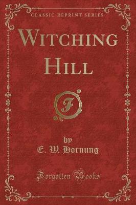 Book cover for Witching Hill (Classic Reprint)