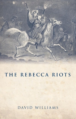 Book cover for The Rebecca Riots