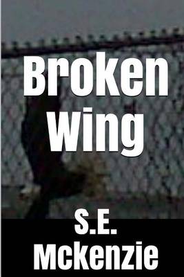 Book cover for Broken Wing