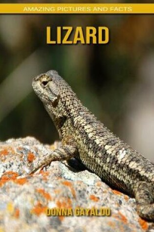 Cover of Lizard