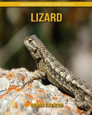 Book cover for Lizard