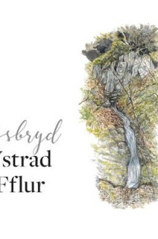 Cover of Ysbryd Ystrad Fflur