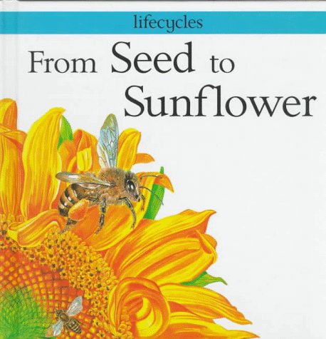 Book cover for From Seed to Sunflower