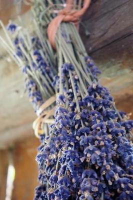 Book cover for Dried Purple Lavender Journal