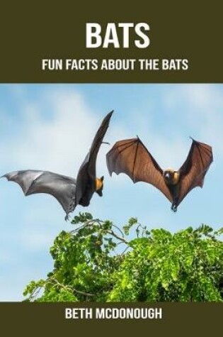 Cover of Bats