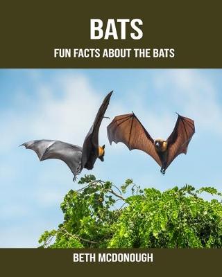 Book cover for Bats