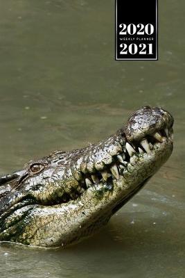 Book cover for Crocodile Alligator Gharial Caiman Reptile Week Planner Weekly Organizer Calendar 2020 / 2021 - Head out Water