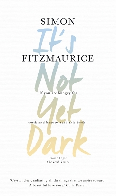 Book cover for It's Not Yet Dark