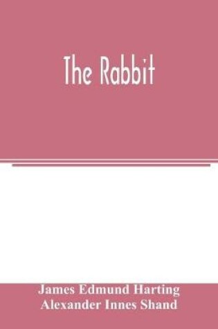 Cover of The rabbit