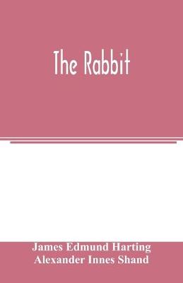 Book cover for The rabbit