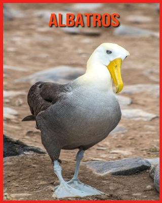 Book cover for Albatros