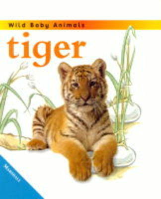 Book cover for Tiger Cub