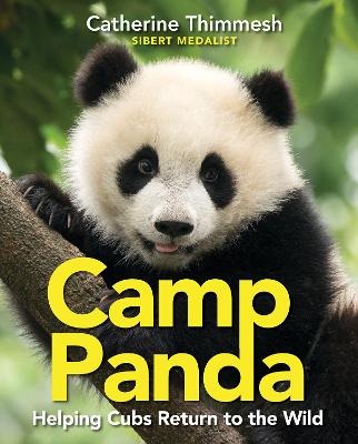 Book cover for Camp Panda