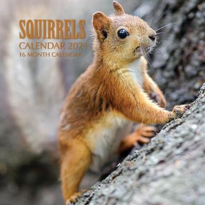 Book cover for Squirrels Calendar 2021