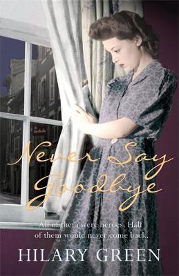 Book cover for Never Say Goodbye