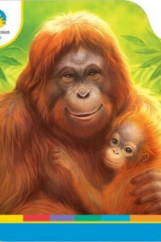 Cover of Smithsonian Kids Orangutans