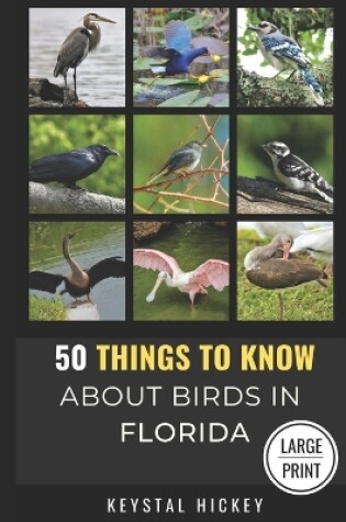 Cover of 50 Things to Know About Birds in Florida