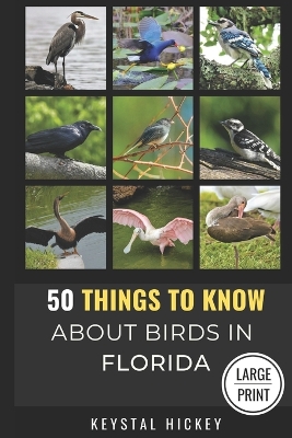 Book cover for 50 Things to Know About Birds in Florida