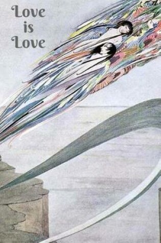 Cover of Love is Love