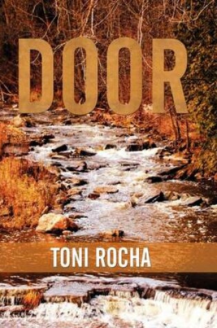 Cover of Door