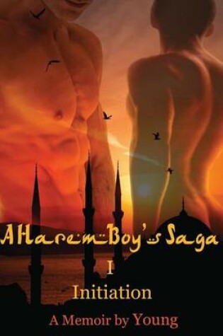 Cover of A Harem Boy's Saga - I