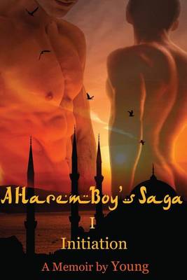 Book cover for A Harem Boy's Saga - I