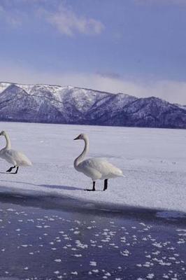 Cover of Winter Theme Journal Frozen Geese