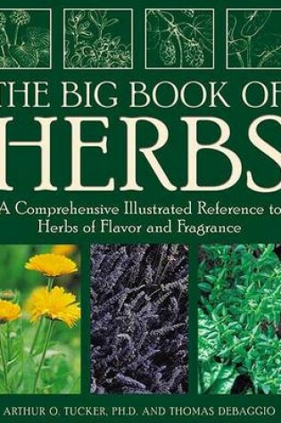 Cover of Big Book of Herbs