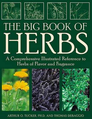 Book cover for Big Book of Herbs