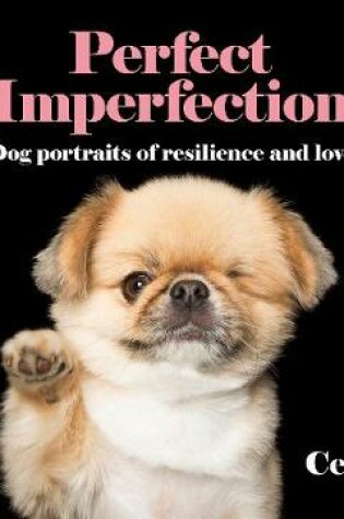 Cover of Perfect Imperfection