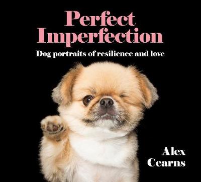 Book cover for Perfect Imperfection