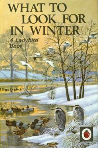 Cover of Ladybird Well-loved Tales: What to Look for in Winter