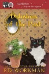 Book cover for Delusions of the Past