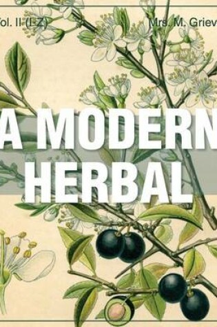 Cover of Modern Herbal Vol 2