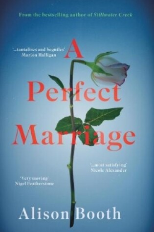 Cover of Perfect Marriage