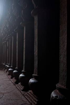 Book cover for Karla Cave Pillars at Dusk, for the Love of India