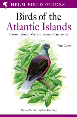 Book cover for Field Guide to the Birds of the Atlantic Islands