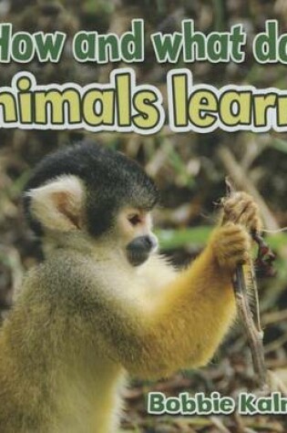 Cover of How and What Do Animals Learn