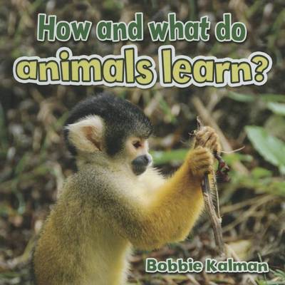 Book cover for How and What Do Animals Learn
