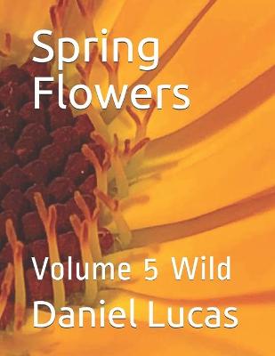 Book cover for Spring Flowers