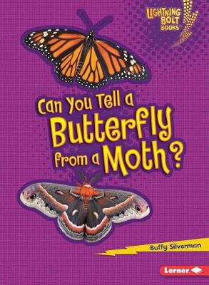 Book cover for Can You Tell a Butterfly from a Moth?