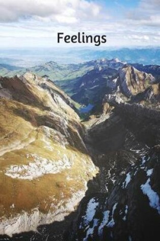 Cover of Feelings