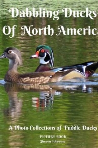 Cover of Dabbling Ducks of North America A Photo Collection of Puddle Ducks Picture Book