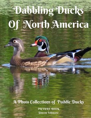 Book cover for Dabbling Ducks of North America A Photo Collection of Puddle Ducks Picture Book