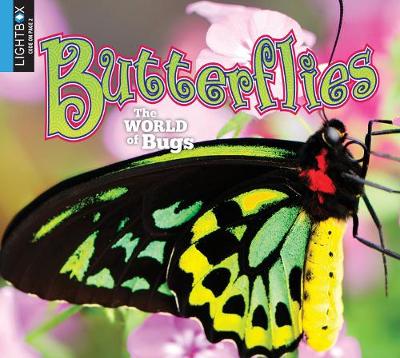 Book cover for Butterflies