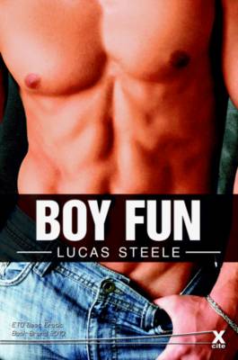 Book cover for Boy Fun